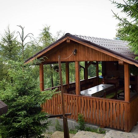 Colibiţa Casa Edy酒店 外观 照片