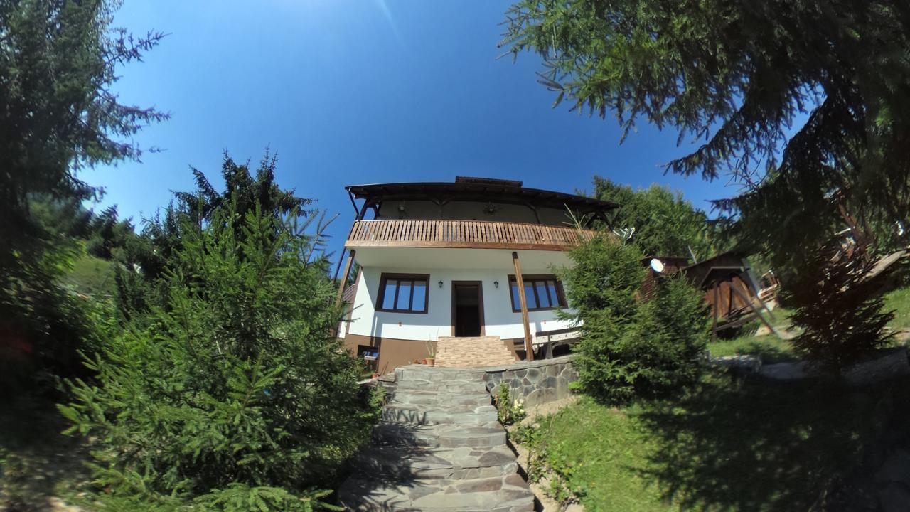 Colibiţa Casa Edy酒店 外观 照片