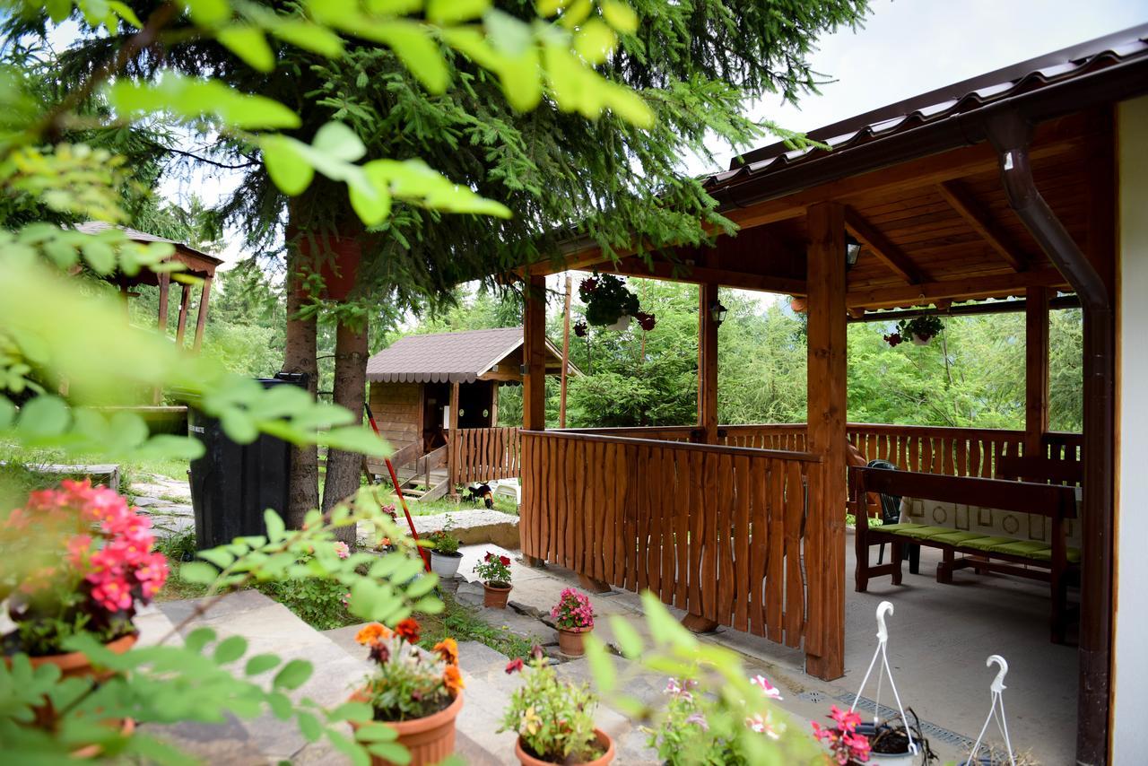 Colibiţa Casa Edy酒店 外观 照片